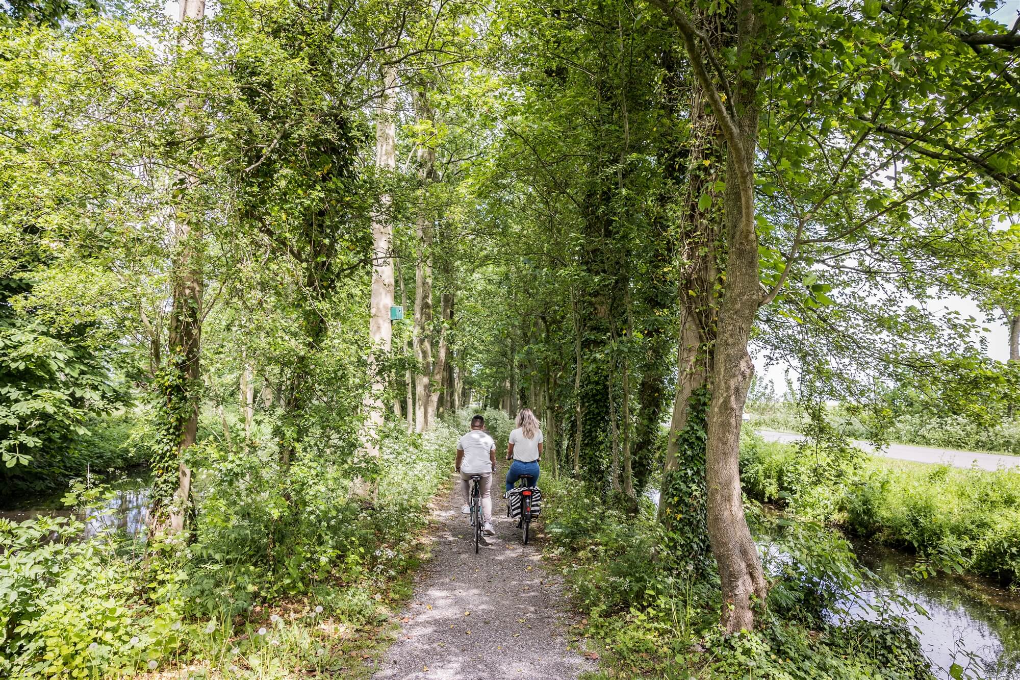 Bewegen groen bossen Friesland dorp rust leven wonen