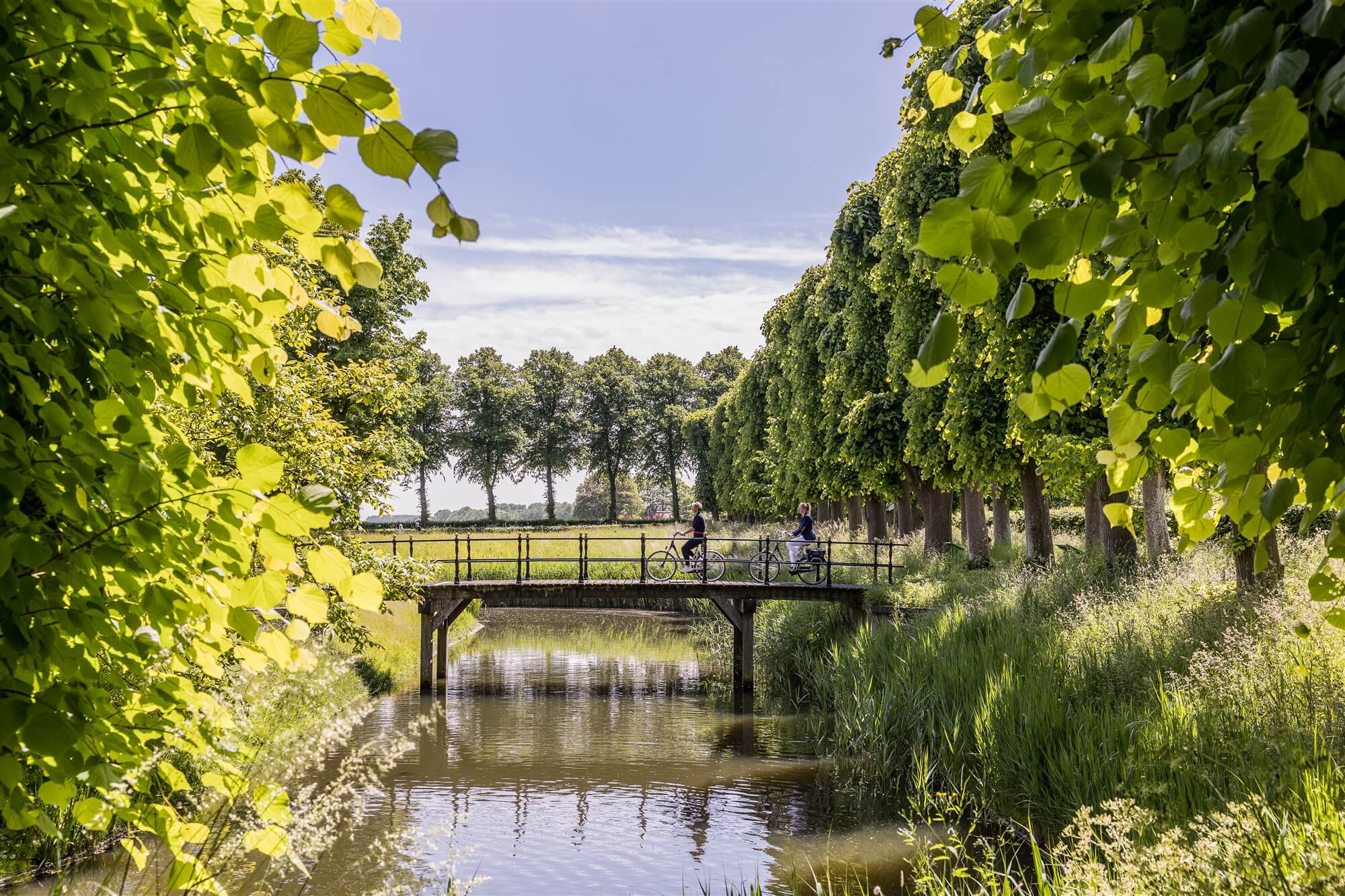 Water groen natuur bewegen brug blauwe lucht Friesland leven wonen werken