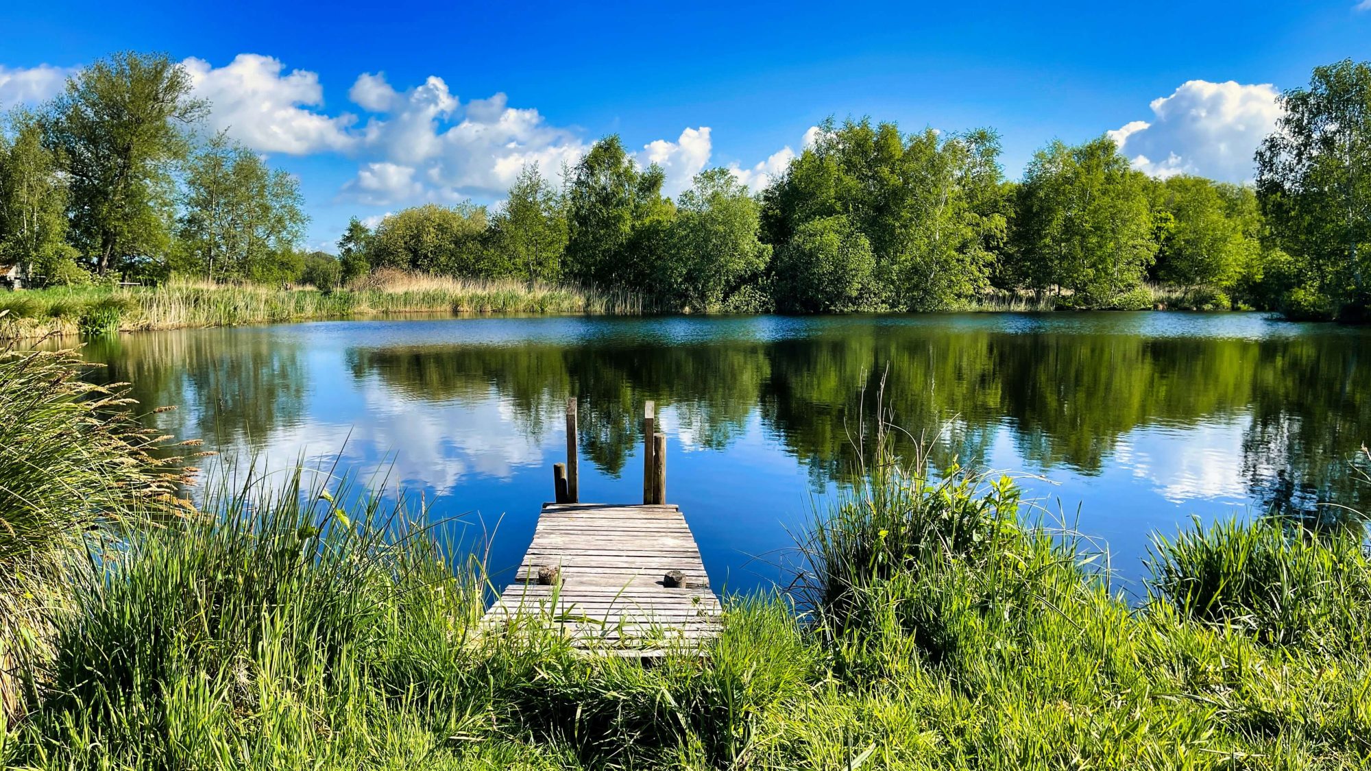 Water natuur bos wonen leven Friesland