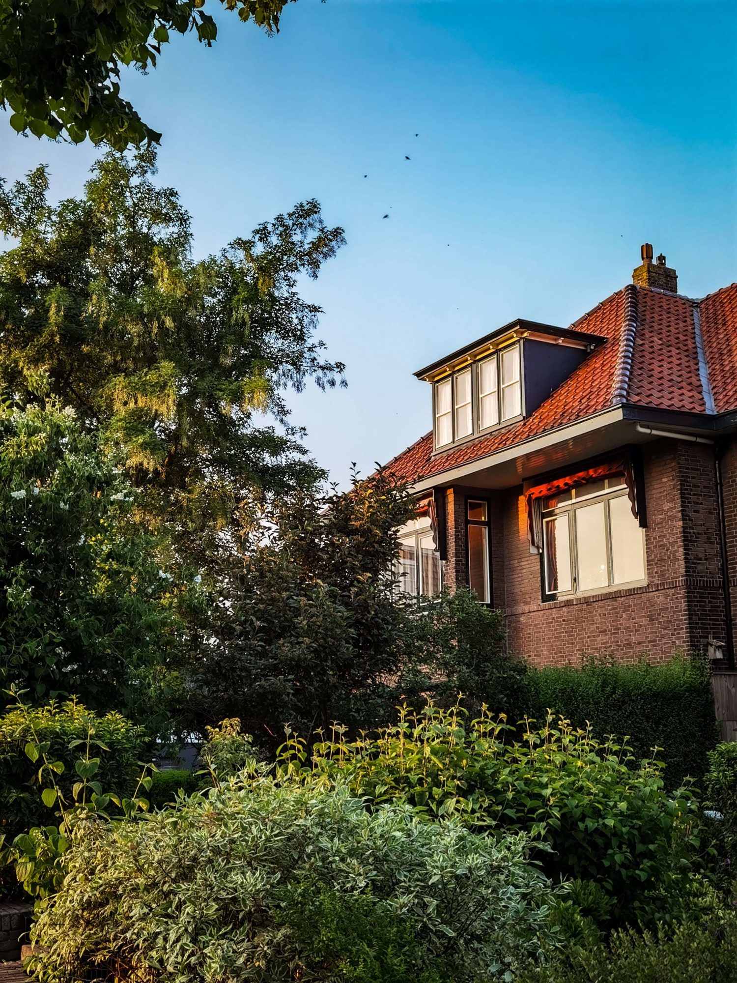 Wonen werken leven Friesland