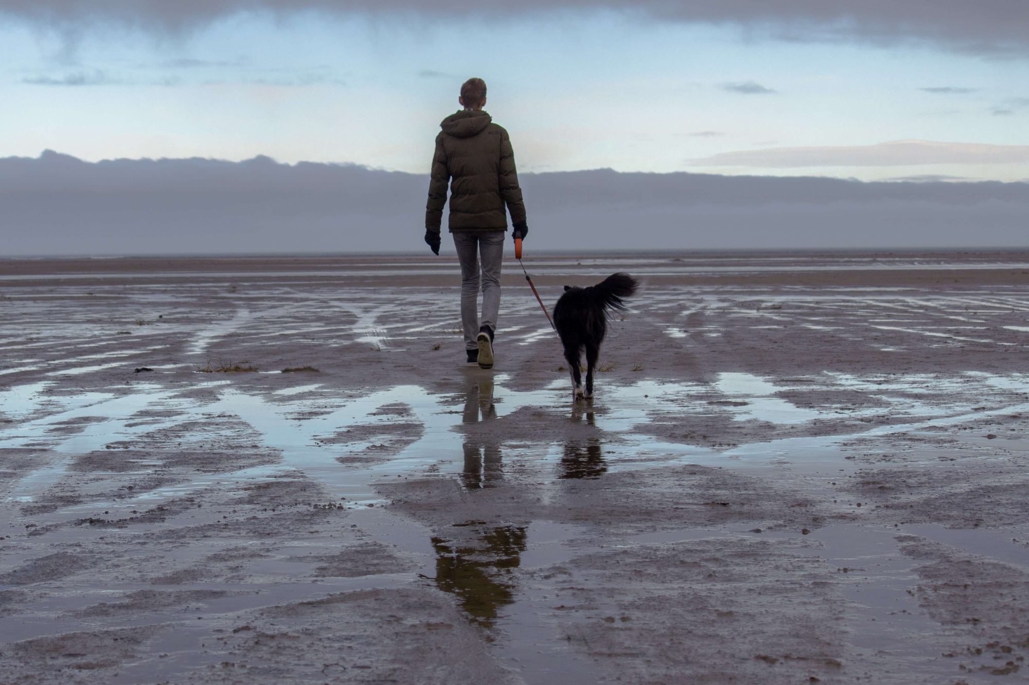 hond wandelen strand zee rust friesland werken wonen baan job