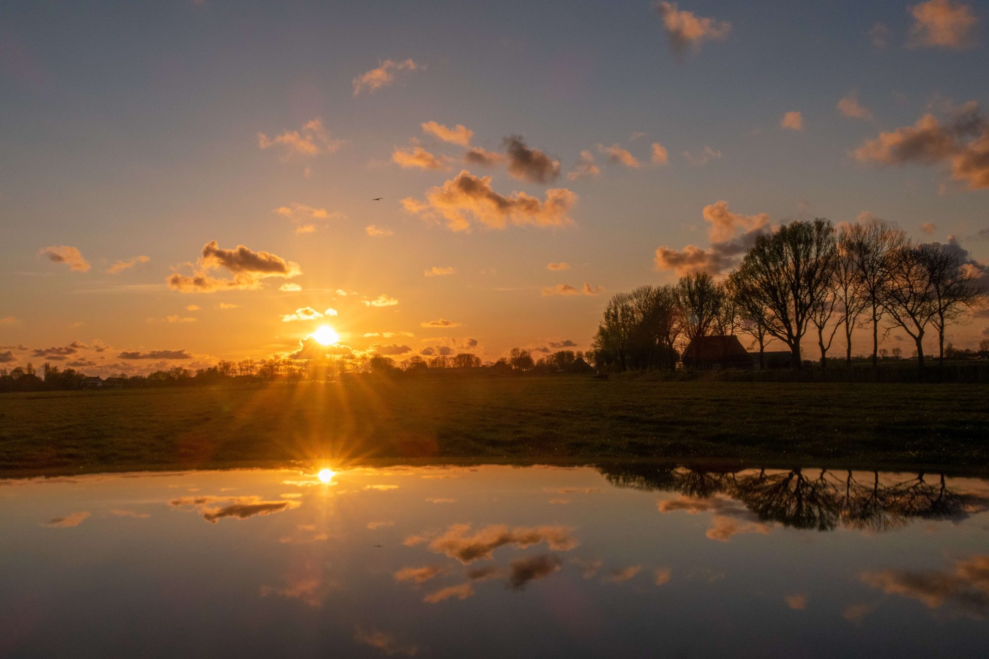 Water zon weiland natuur wonen werken leven Friesland vrijheid