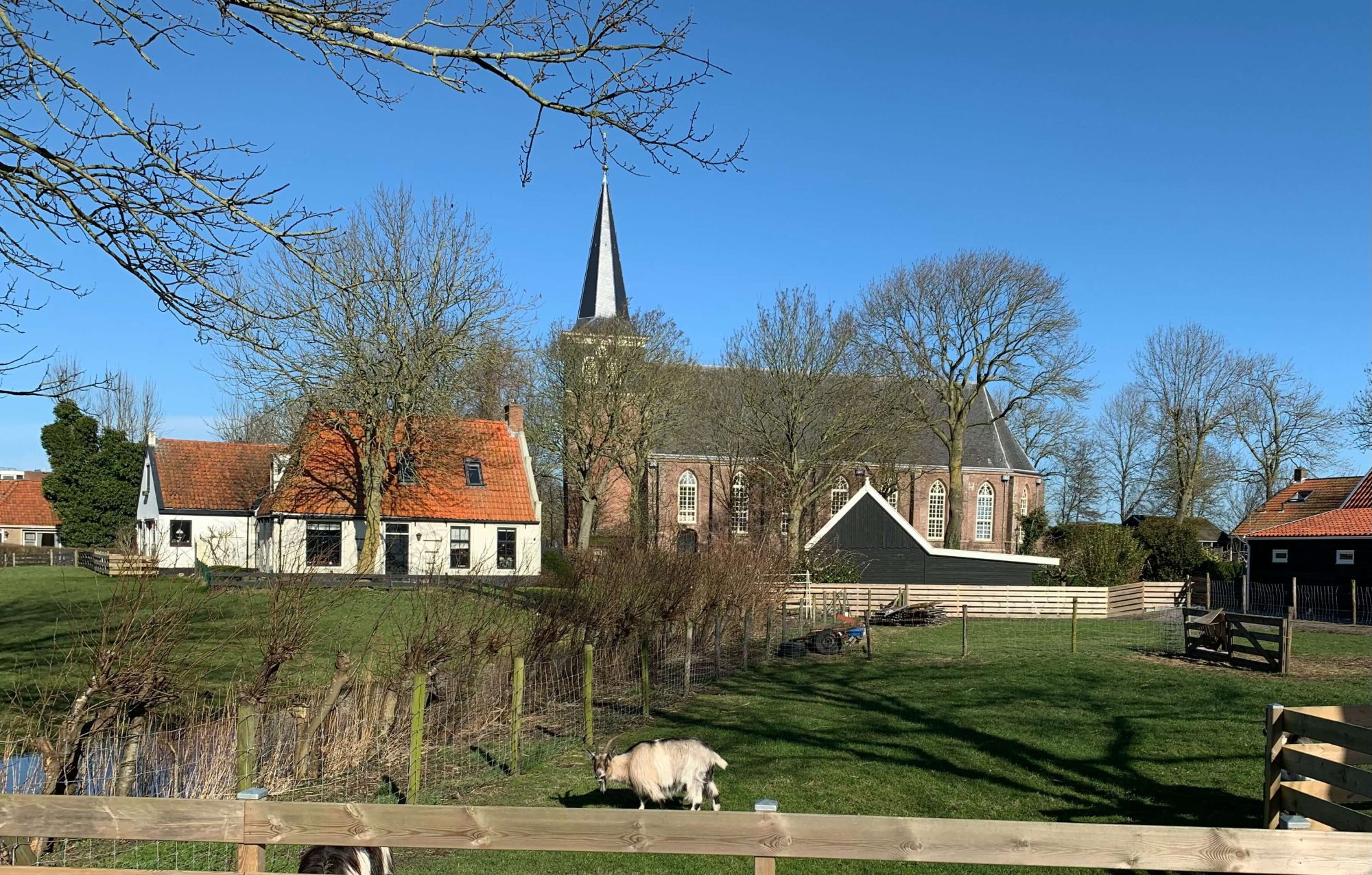 Terp kerk dorp wonen werken leven geiten weiland natuur Friesland