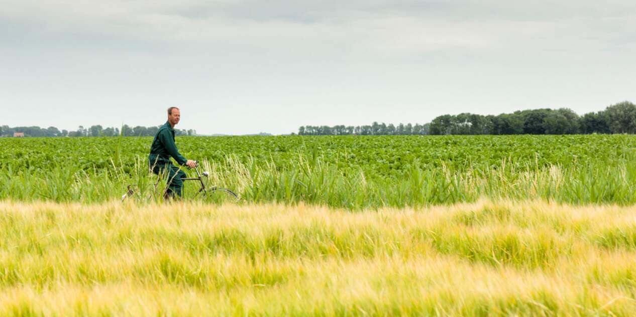 Man aan het fietsen in weiland