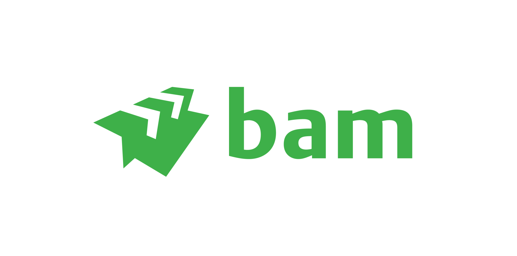 BAM infra wegen regio Oost logo groen transparante achtergrond