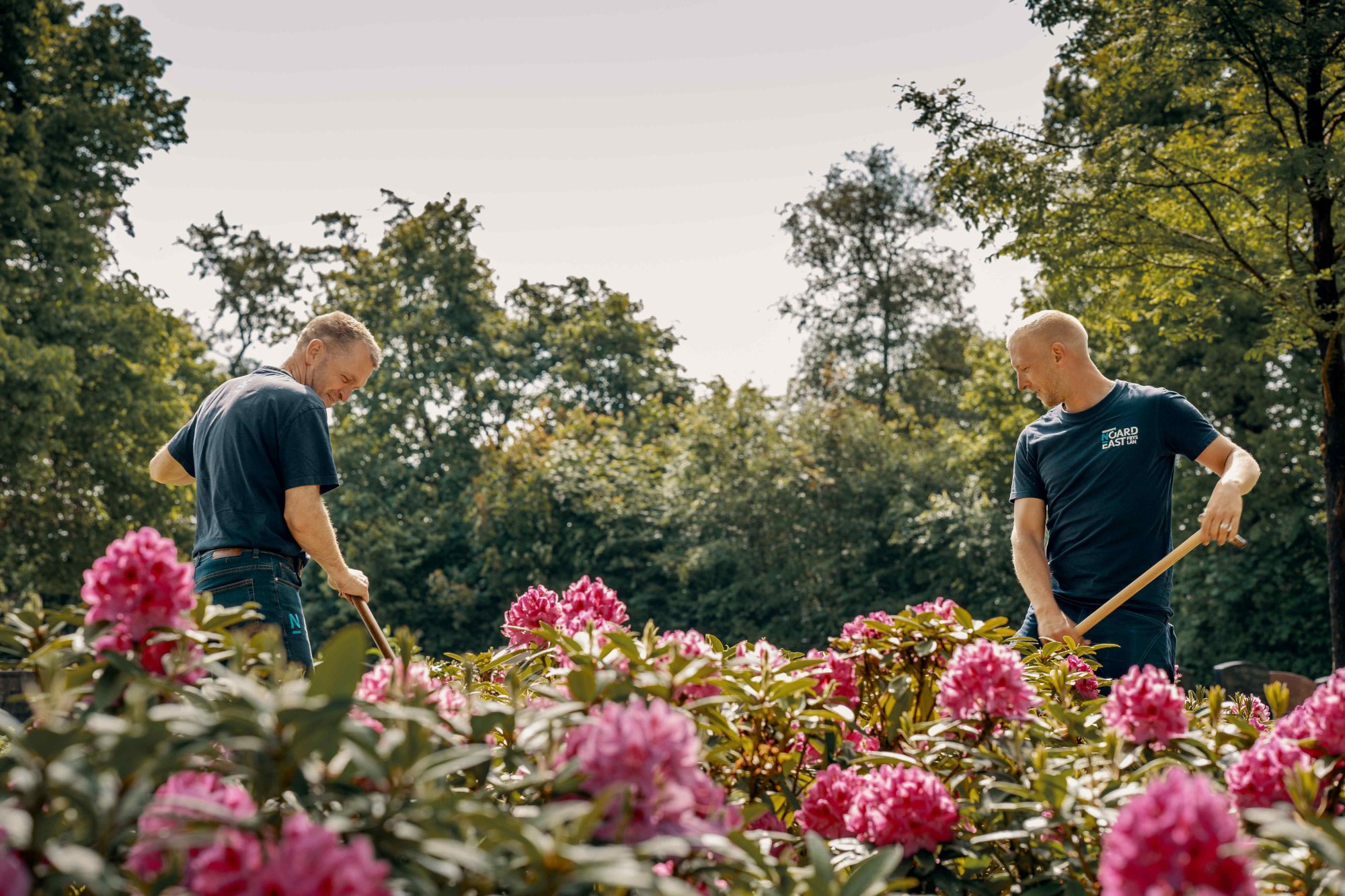 Afbeelding Noardeast Fryslân