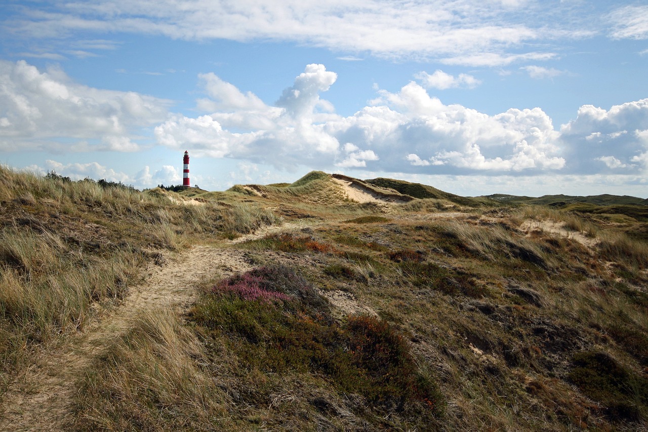 Duinen met vuurtoren