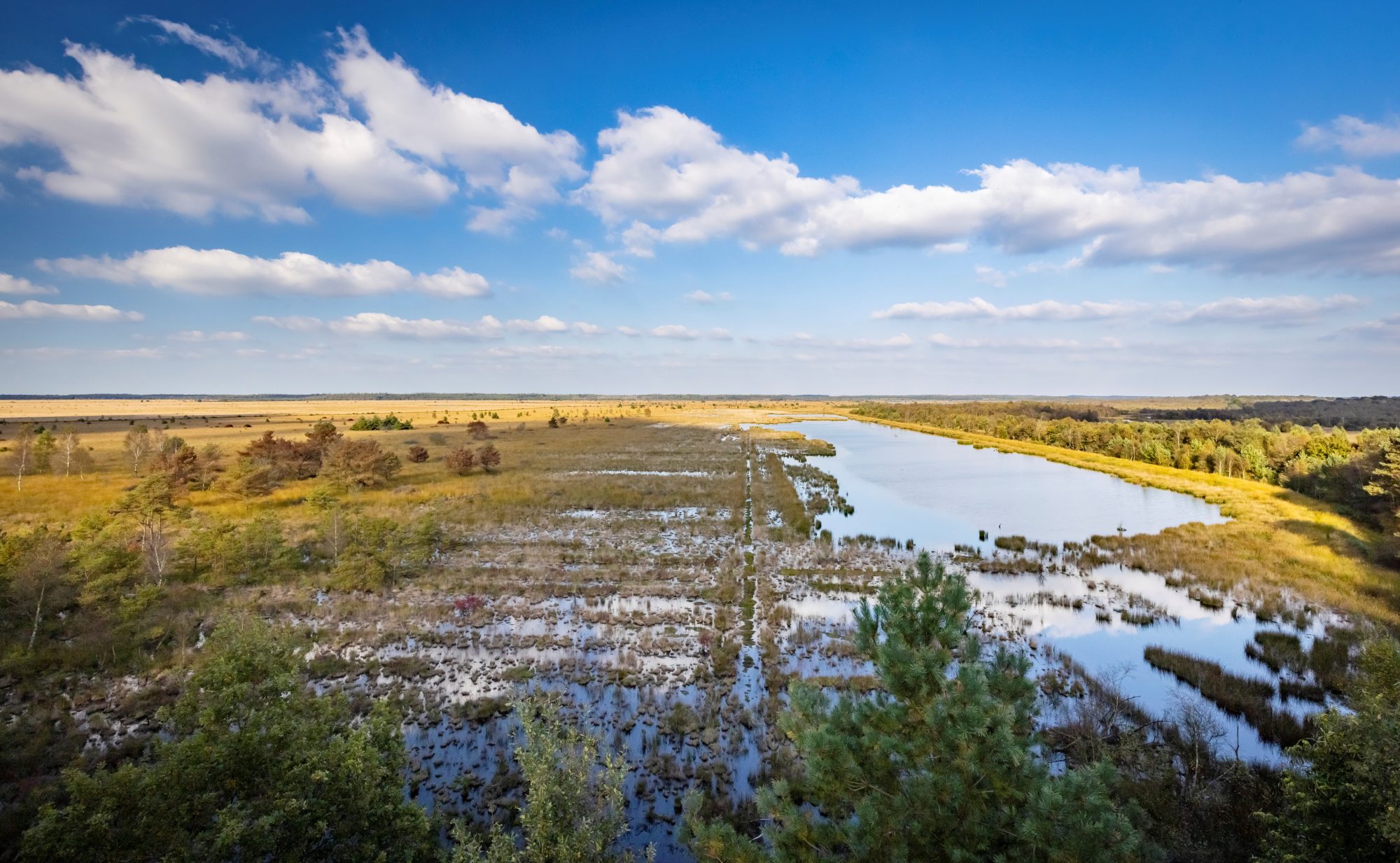 Gemeente Ooststellingwerf natuur foto water lucht