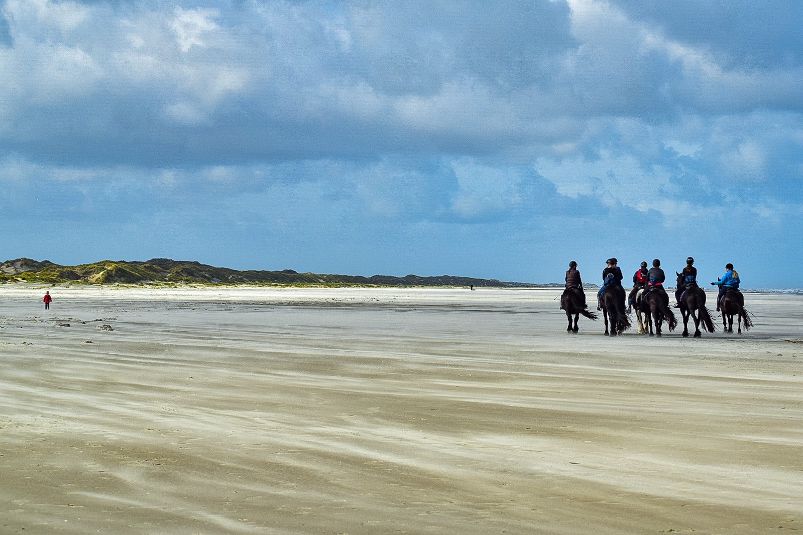 Puur Terschelling